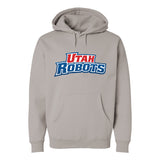 Robots Adult Hoodie